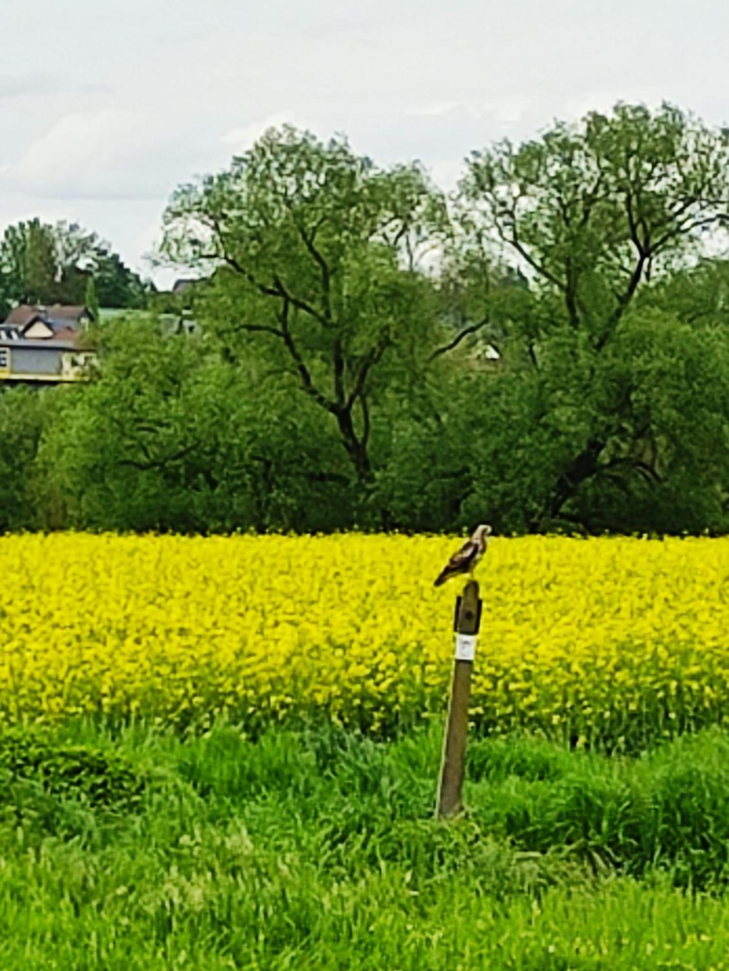 Ferienwohnung An Der Lahn Limburg an der Lahn Exteriér fotografie